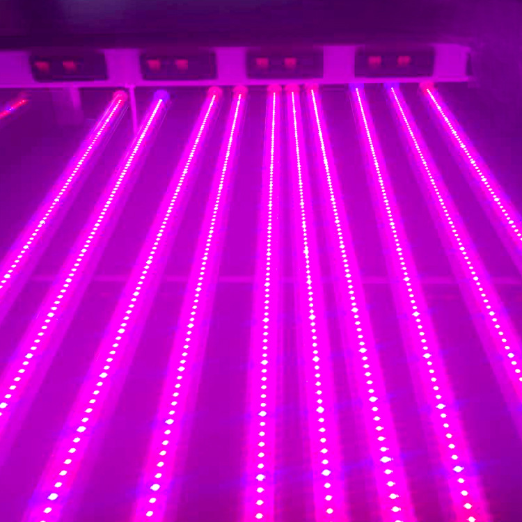 led植物生长灯补光灯室内蔬菜大棚灯育苗专用灯922wt8一体化灯