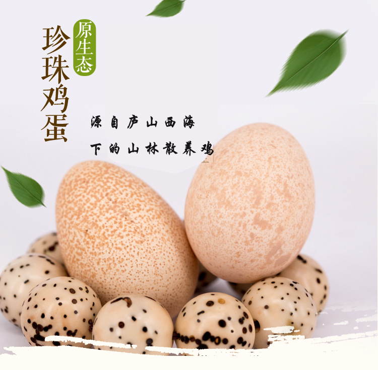 包邮珍珠鸡蛋生态散养 203060枚新鲜土鸡蛋农家鸡蛋益智.