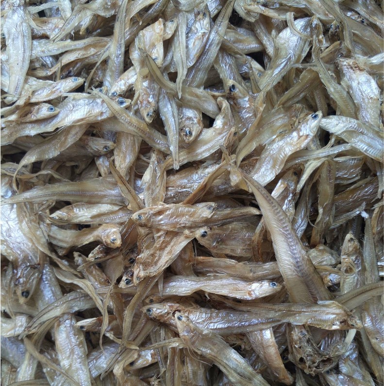 潘阳湖野生毛*鱼 跑江湖地摊会销新产品10元模式秋*鱼 小.