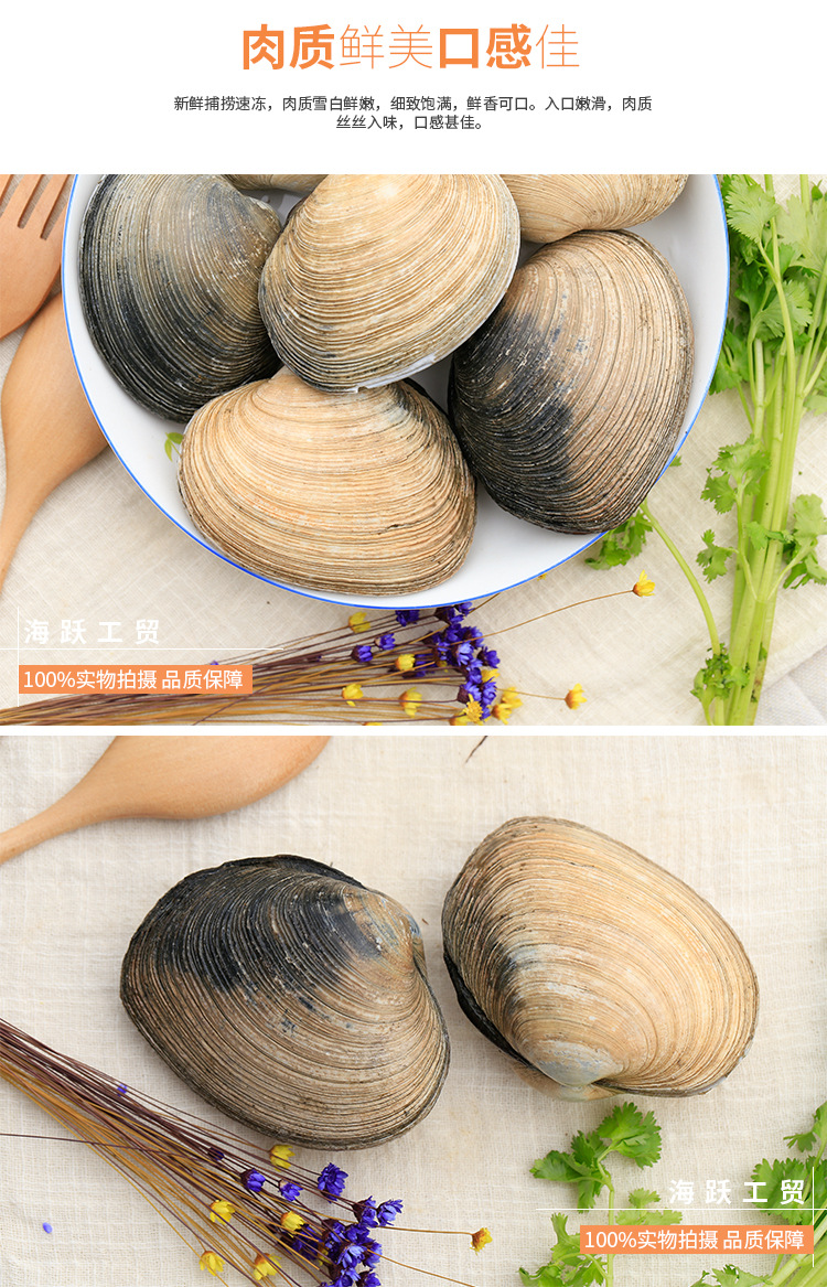 鲜活鲜美马贝 新鲜海鲜即食刺身日式料理水产品贝类批发