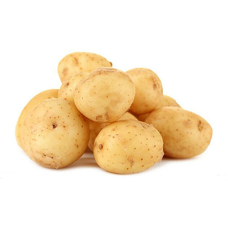陕北特产洋芋 定边土豆 新鲜有机蔬菜 马铃薯 农家自种高淀粉含量