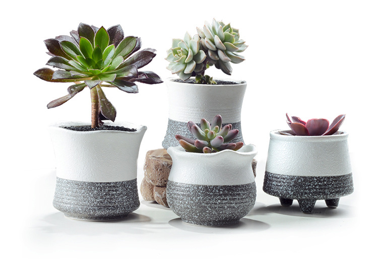 陶瓷多肉花盆 创意田园植物小盆 简约微景观陶瓷多肉植物小花.