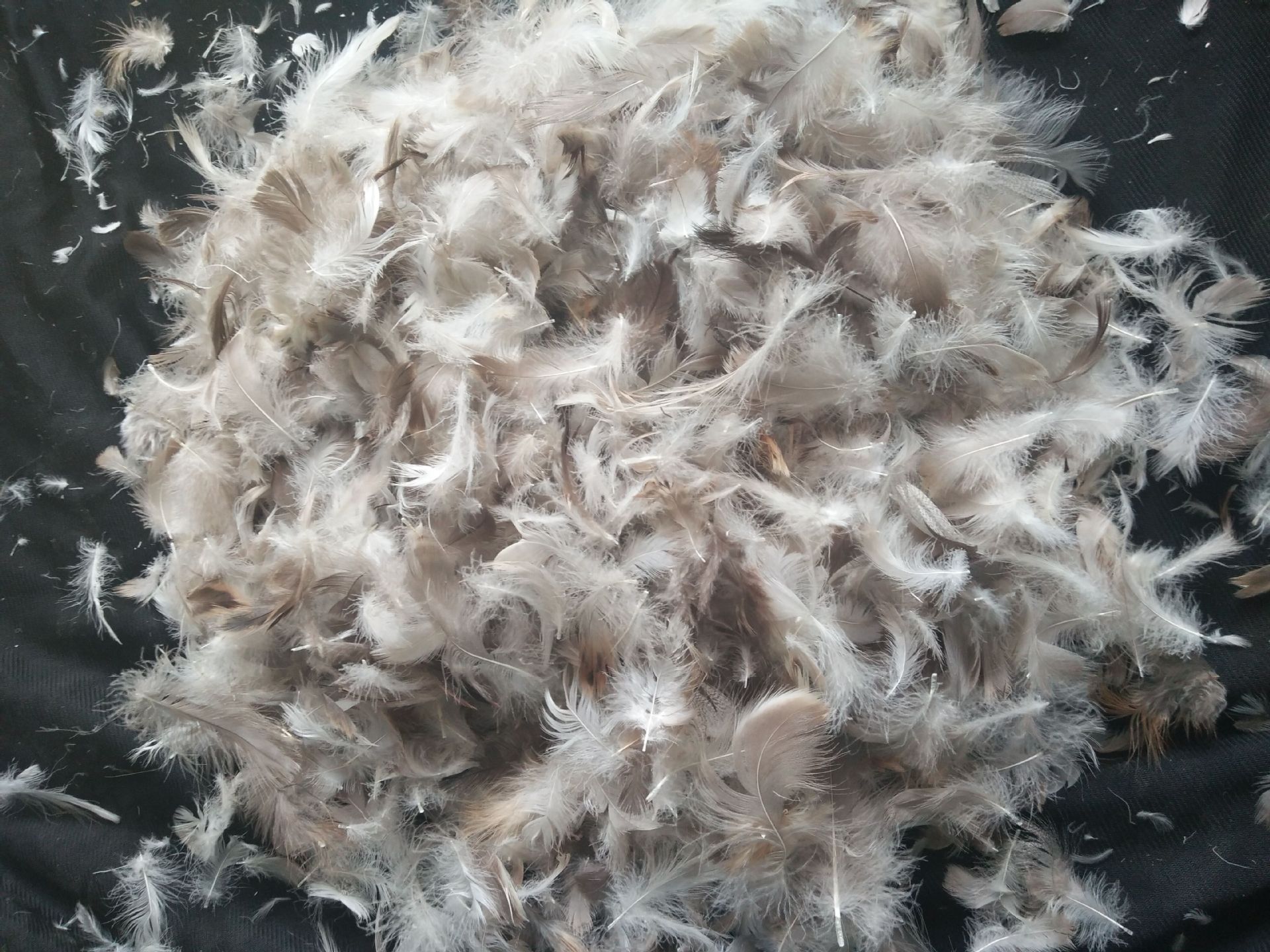 荐家具厂沙发抱枕填充水洗鸭毛水洗灰鸭片羽绒服填充物批发