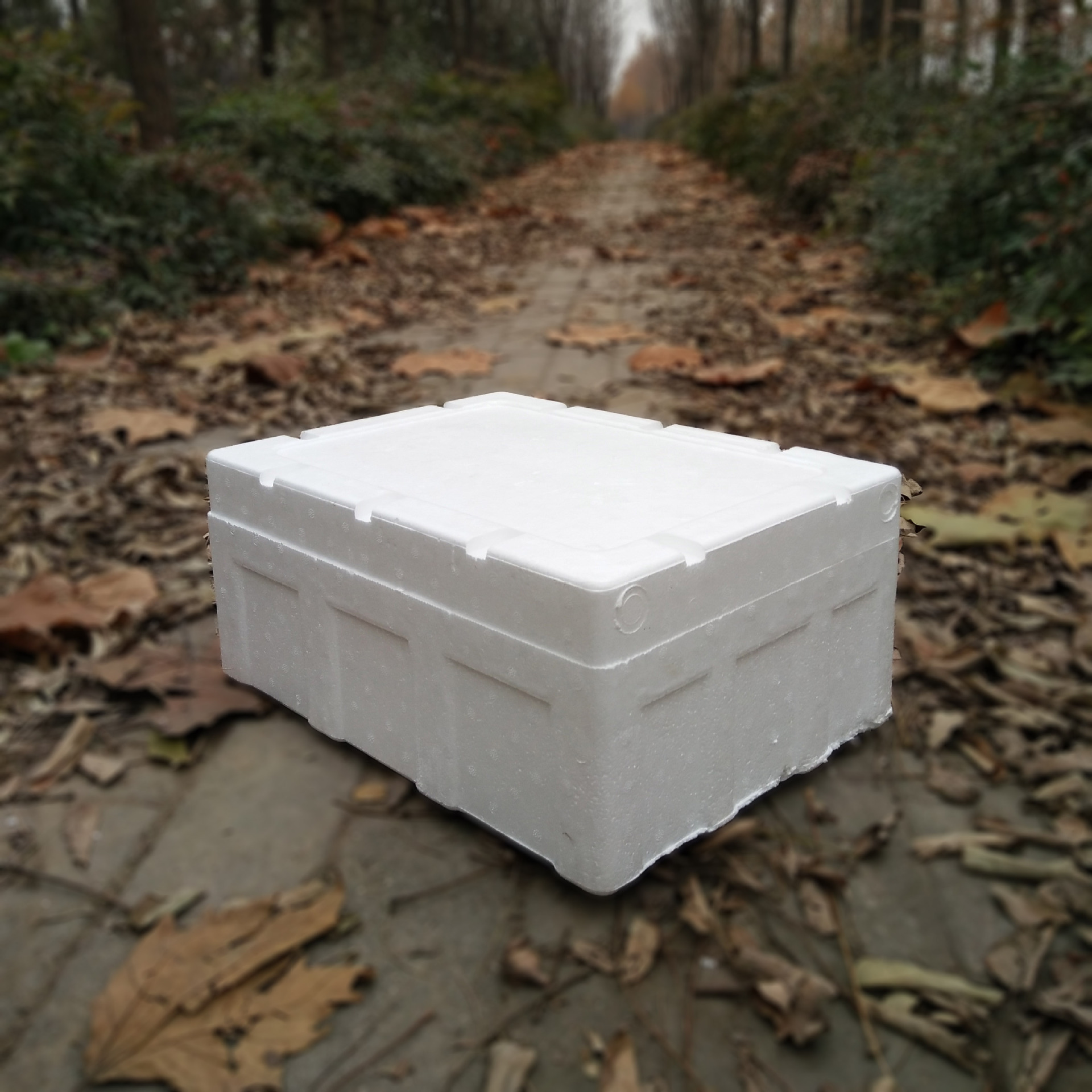 郑州龙玉包装7号草莓泡沫箱,厂家直销草莓