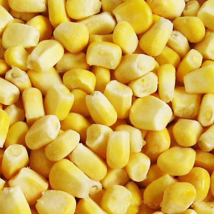 玉米批发大量供应黄干家禽饲料玉米糠可打粉