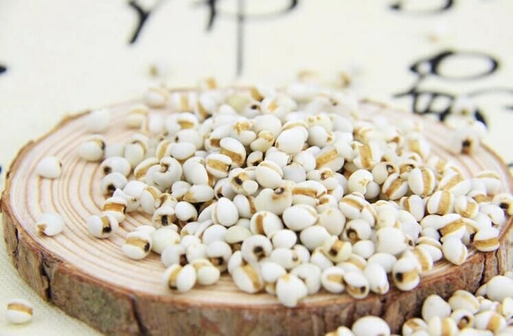 小薏米的功效与作用