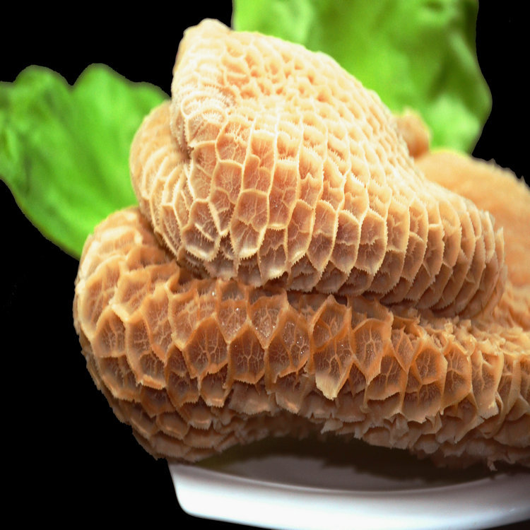 进品冷冻新西兰牛金钱肚烧烤火锅西餐厅牛副产品牛下水