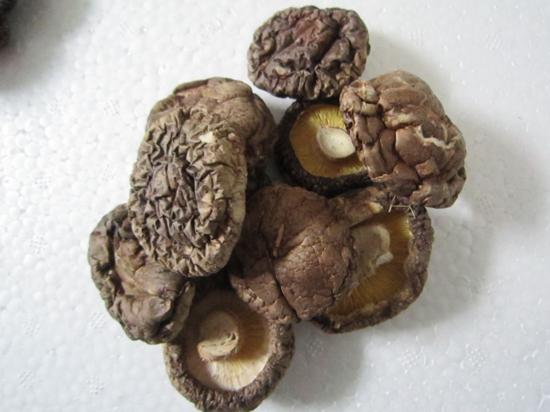 特选古田香菇厂家优质低价冬菇批发团购