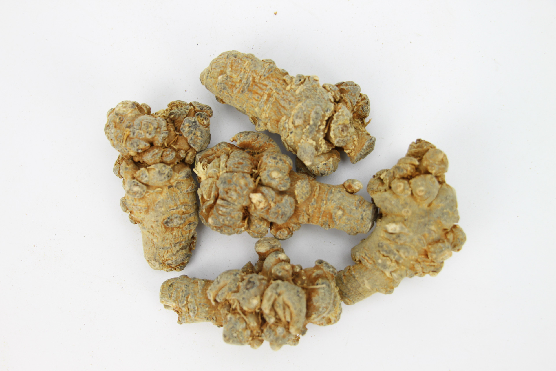 12头三七 云南春三七足12个水洗足干有机三七中药材正品产.