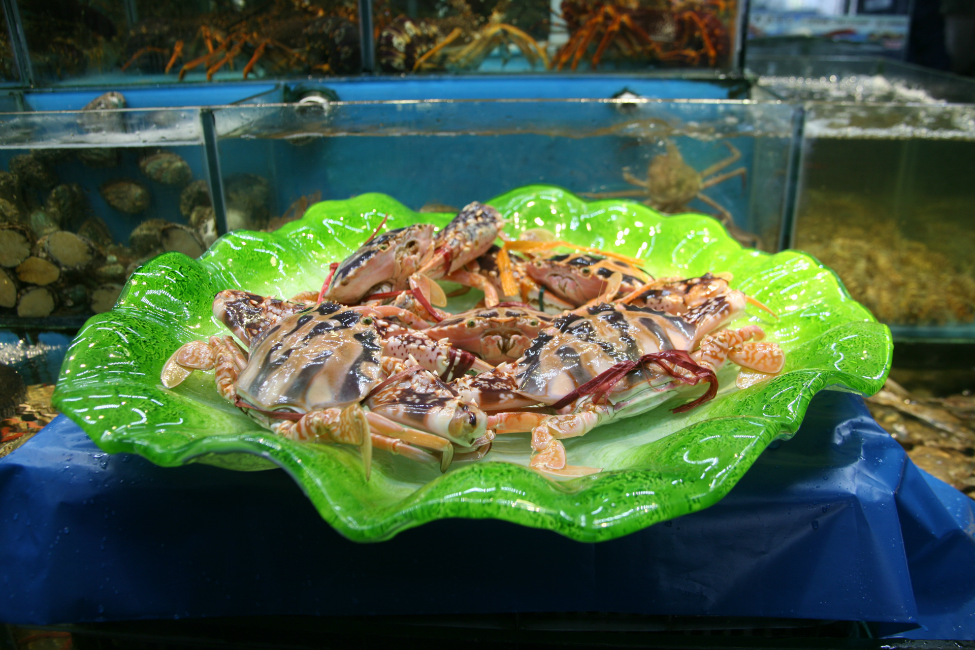 北京融达顺通商贸有限公司 供应信息 蟹类 广东红花蟹