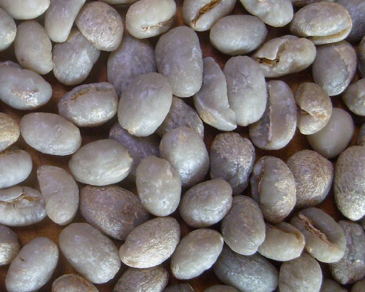 云南咖啡生豆 精选咖啡水洗圆豆 咖啡烘焙生豆 保山小粒咖啡.