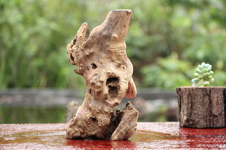 枯木摆件风化木摆件根雕陈化料树根根艺量大从优