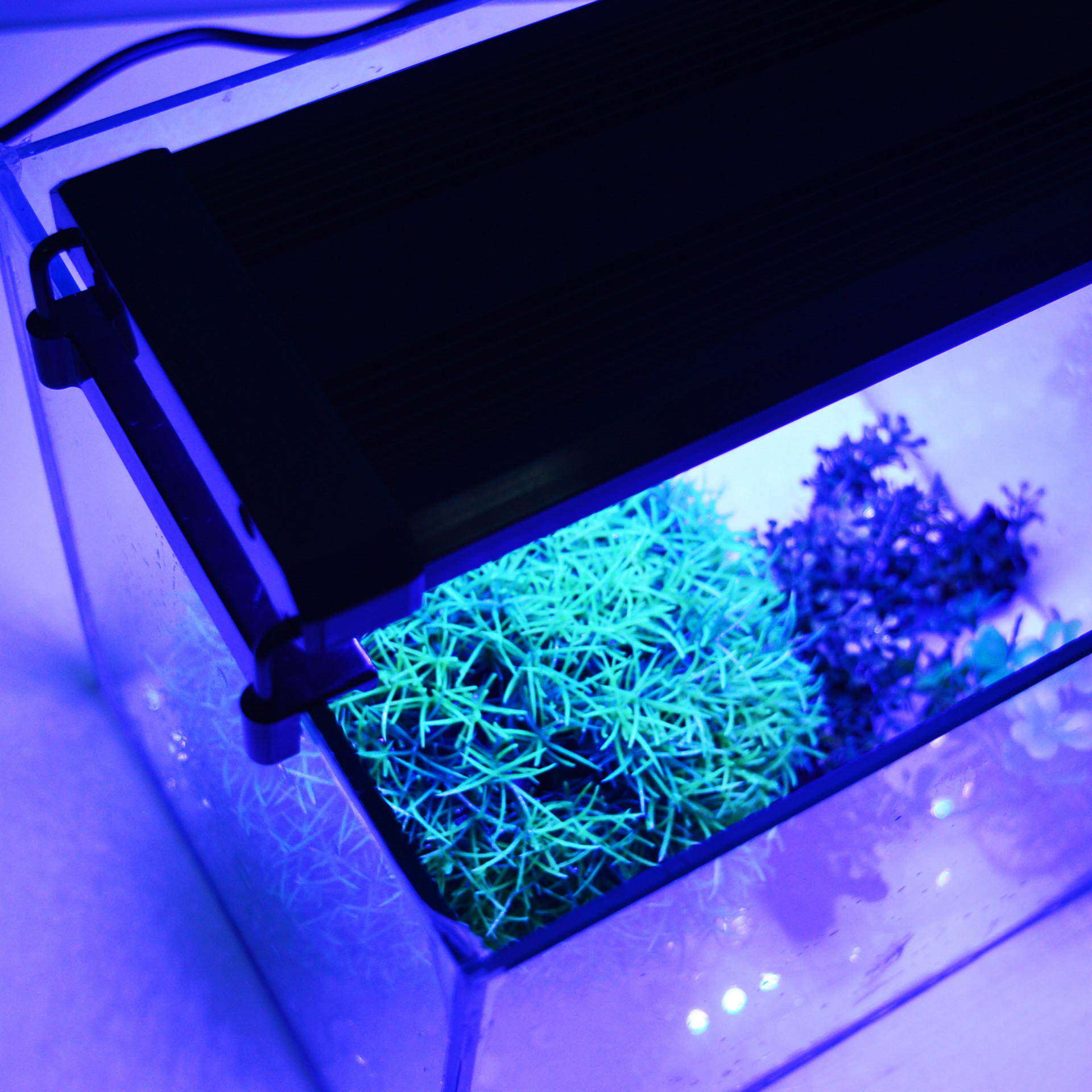 led灯鱼缸灯 冠科 水族箱支架灯zjl-40 鱼缸造景灯全光谱水草灯