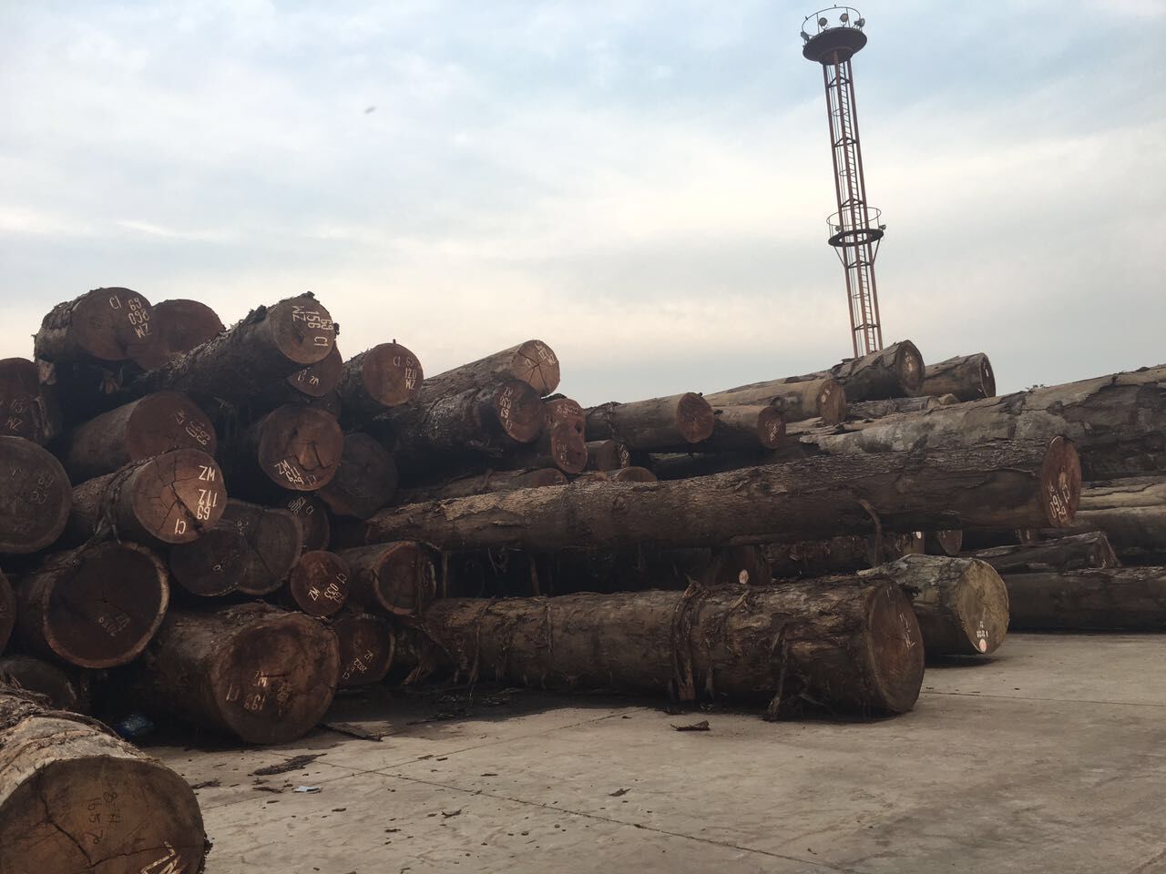 非洲核桃木原木,虎斑栋,乌心石,虎木,核桃木板材