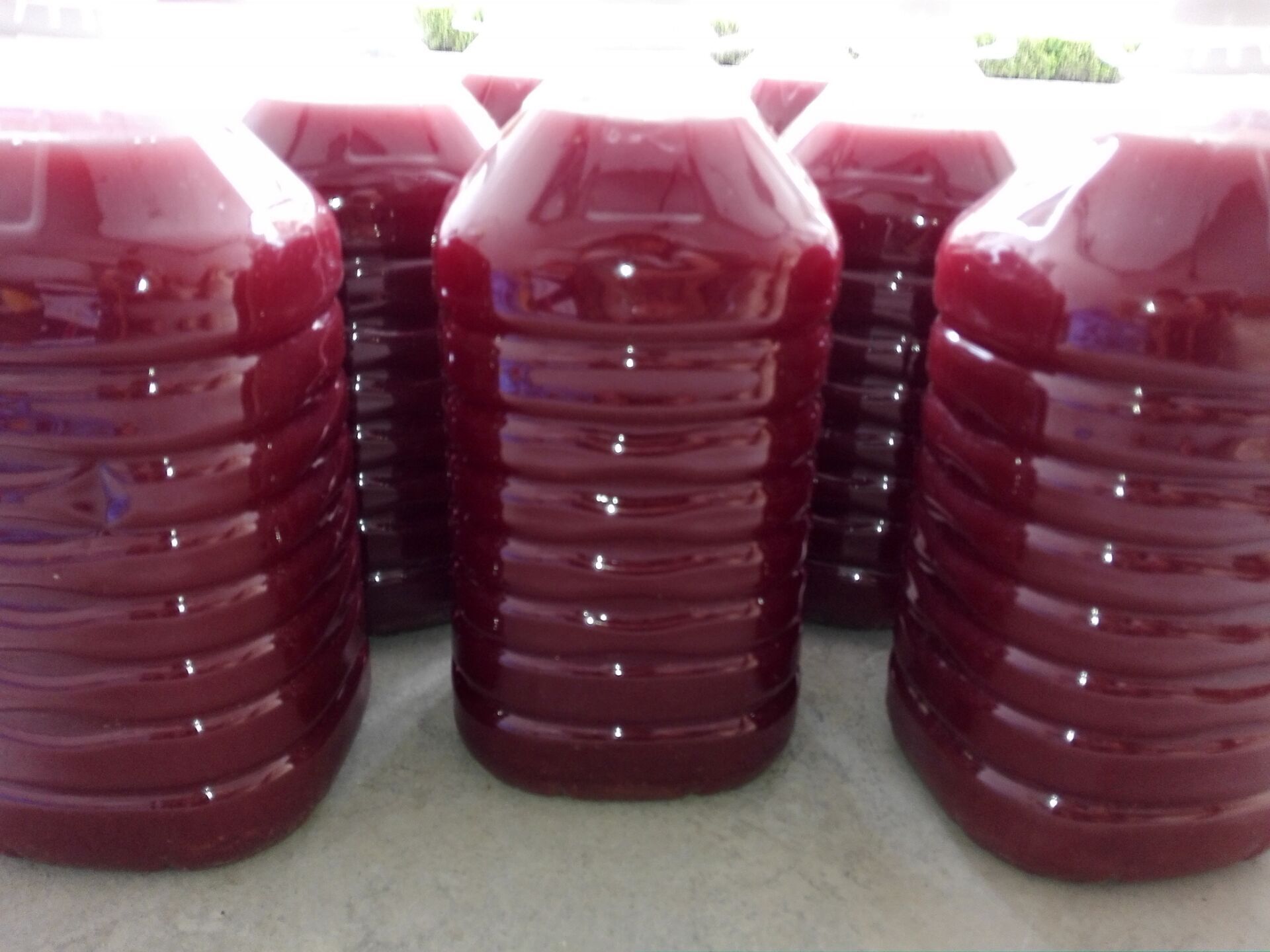 光合细菌培养基 新配方 不发黑不粘壁不分层 培养时间短