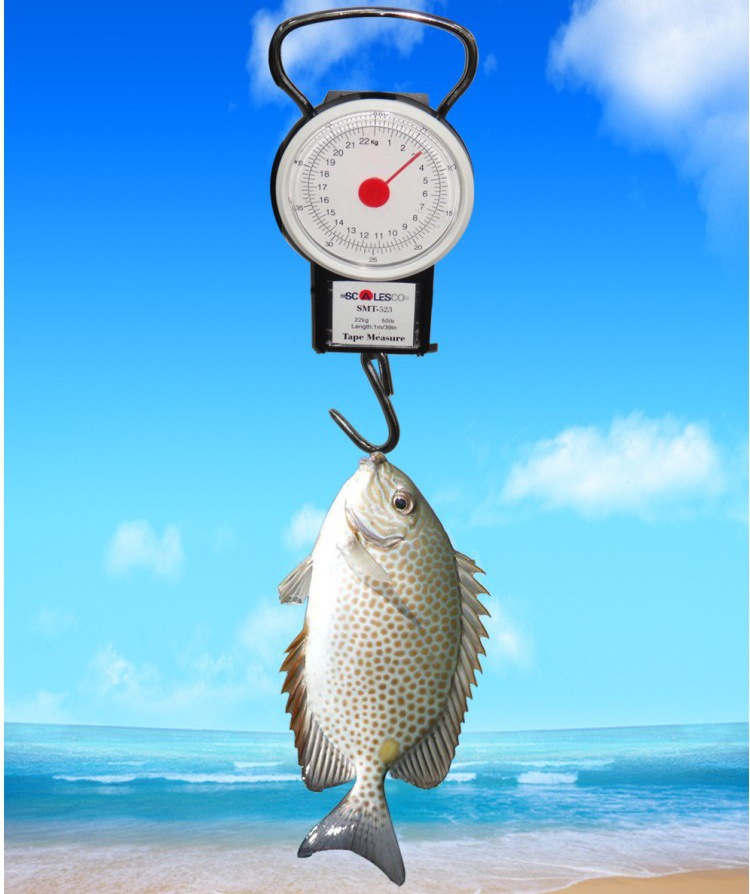 luggage hanging scale 手提弹簧秤 家用弹簧手提秤弹簧秤挂钩秤