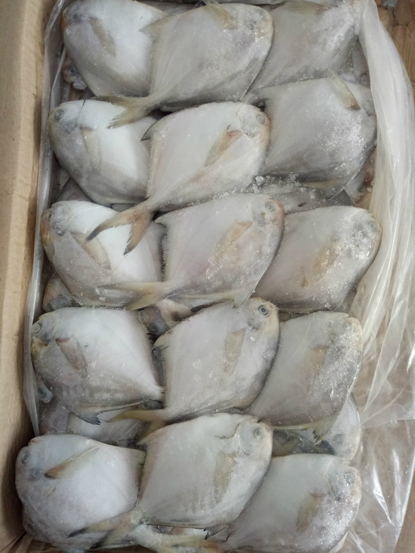 冷冻鲳鱼白鲳鱼香鱼自助餐厅酒店专用食材量大从优