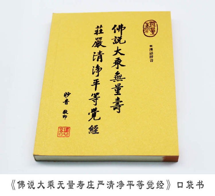 佛说大乘无量寿经 大字拼音读本 双色版