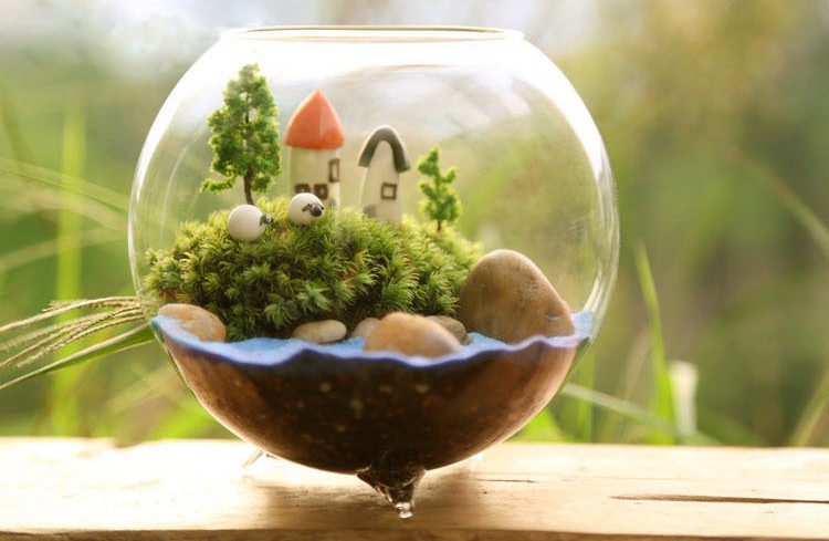 苔藓制作玻璃瓶 微景观生态瓶 三脚玻璃鱼缸 多肉diy三足