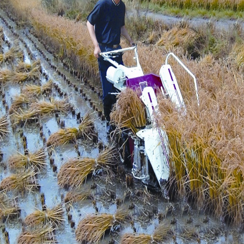 厂家直销水稻割捆机,秸秆自动打捆机,价格低,质量好.