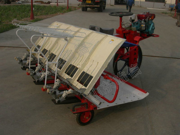 六行水稻插秧机,机动水稻插秧机,小型设备销售