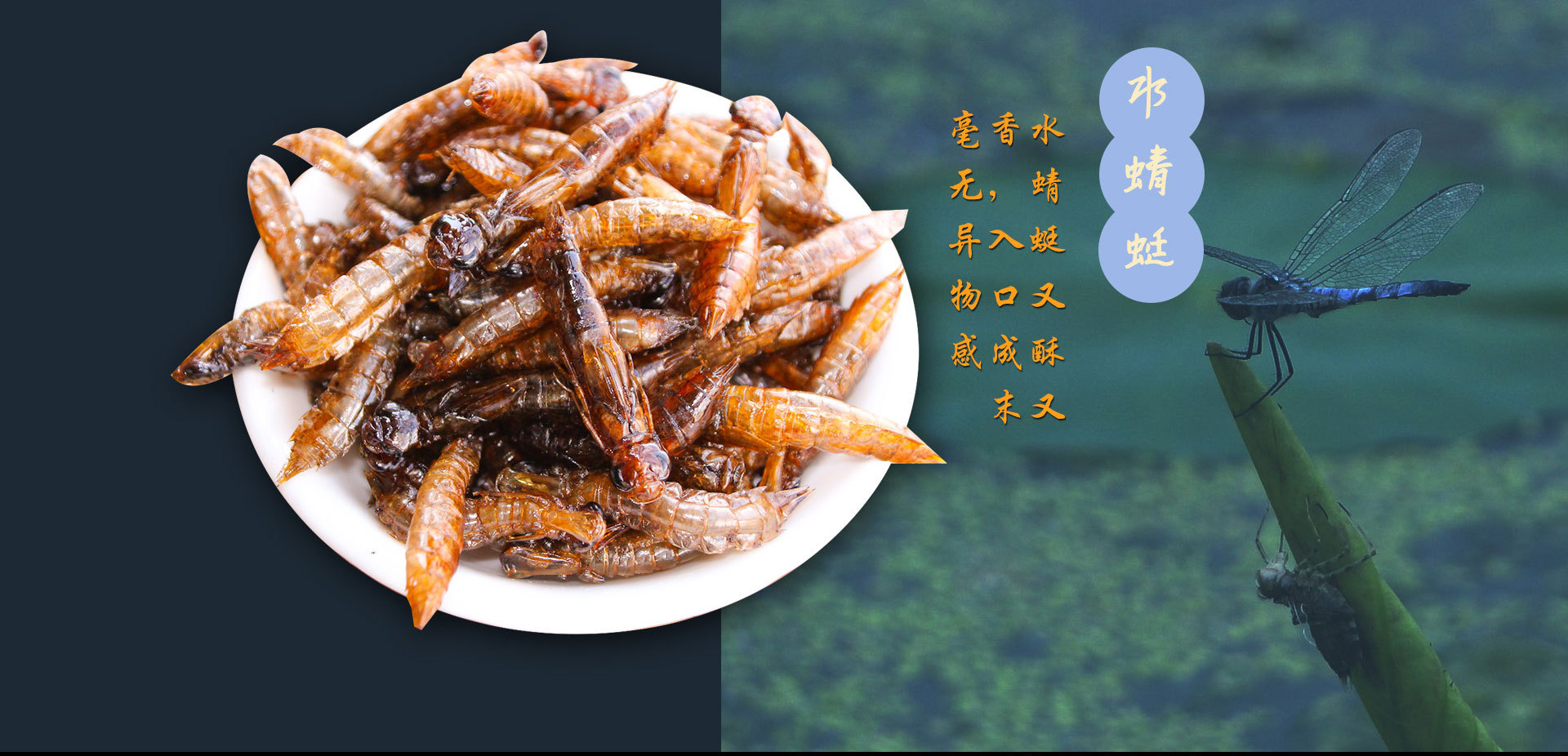 批发供应 野生水蜻蜓 食用昆虫 速冻水蜻蜓 烧烤摊 酒店专卖产品