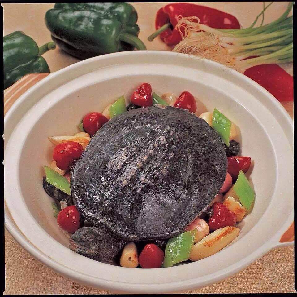 毛氏甲鱼龙泉黄南生态中华老鳖2斤包邮生鲜四龄生态鳖