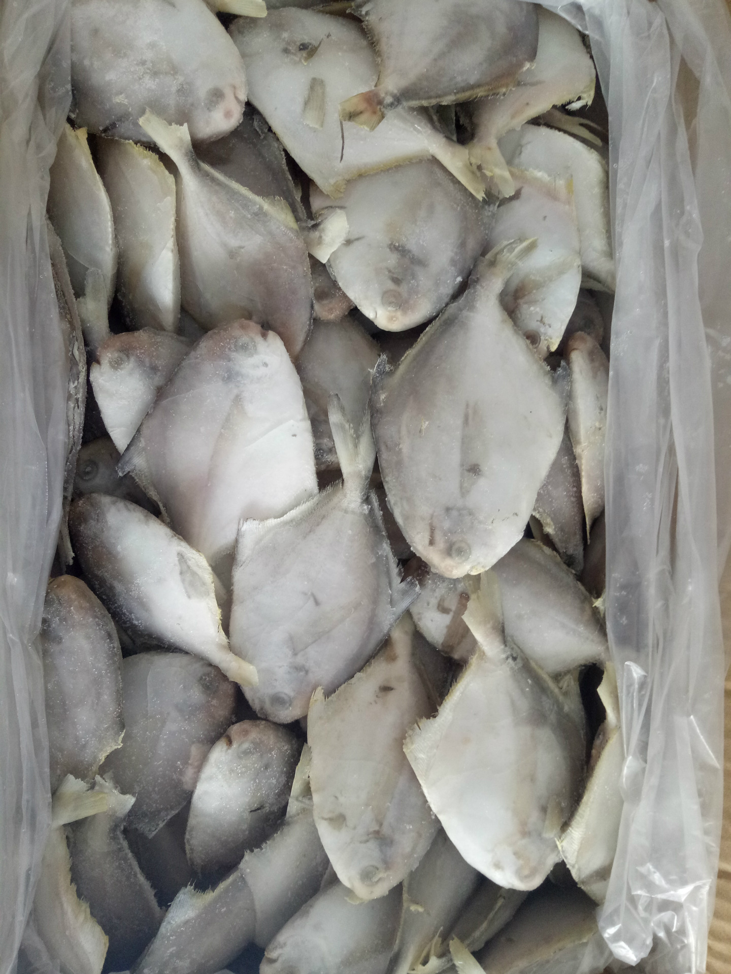 冷冻鲳鱼白鲳鱼香鱼自助餐厅酒店专用食材量大从优