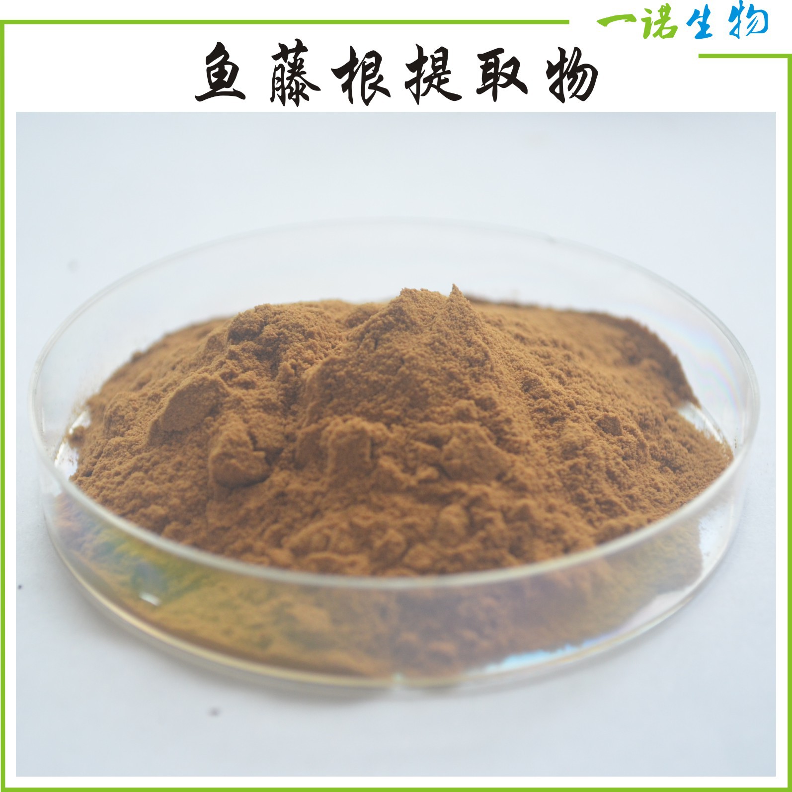 鱼藤根提取物 10:1鱼藤酮 厂家直销鱼藤根粉 现货出售 1kg起订