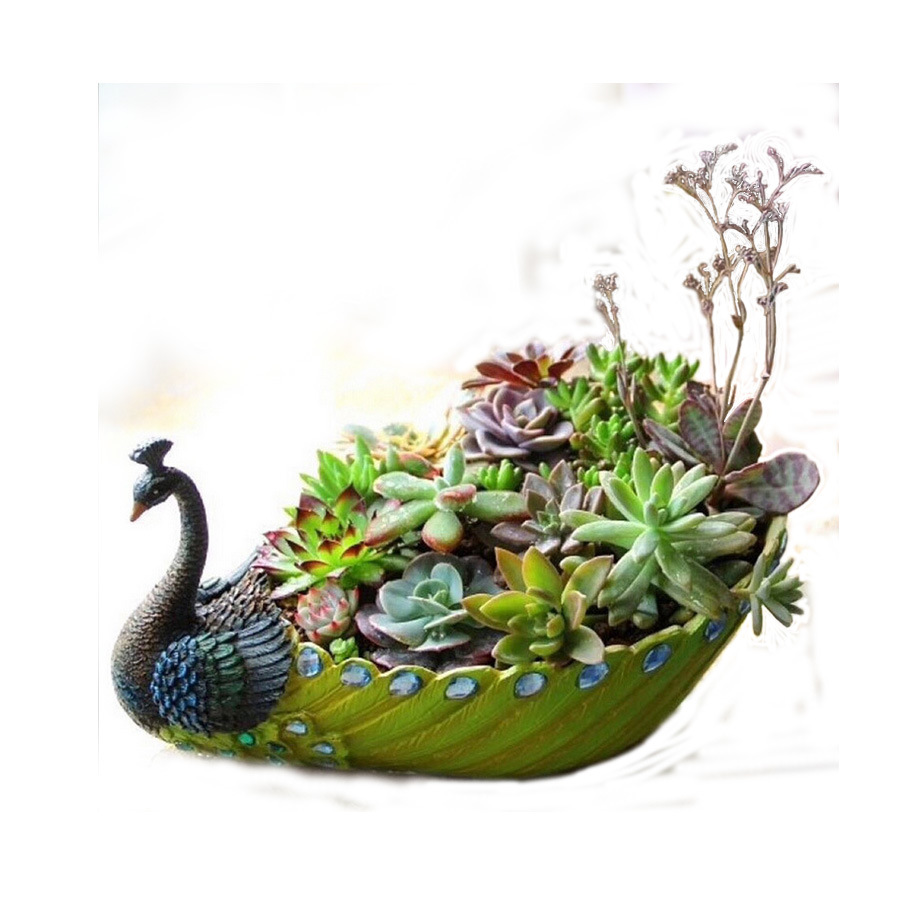 创意韩式可爱孔雀多肉植物花盆厂家批发 绿植拼盘桌面阳台摆件