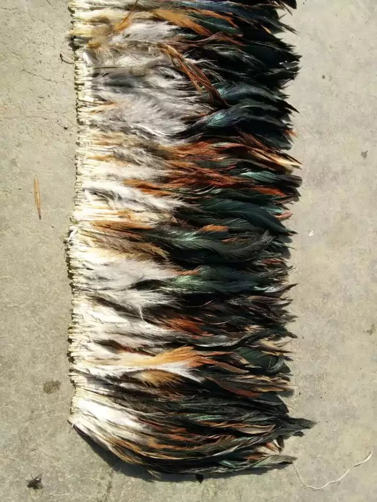 天然色公鸡毛本色鸡毛紫泳毛串条的整包走120每斤