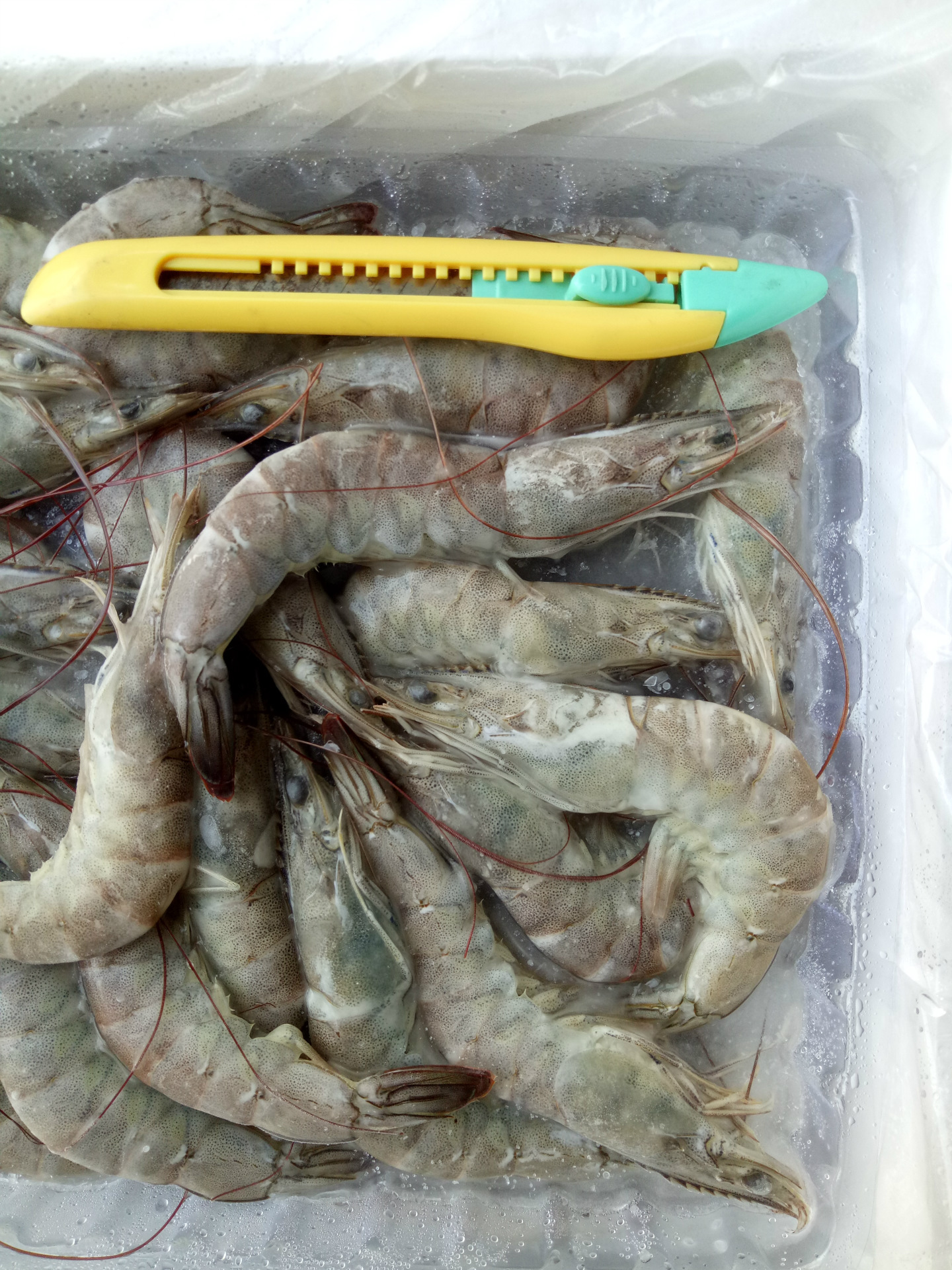 冷冻生虾连头青虾南美青虾自助餐火锅酒店专-冲泡食品