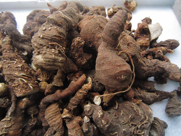 优质中药材重楼批发 大量供应七叶一枝花纯天然原生态药材批发