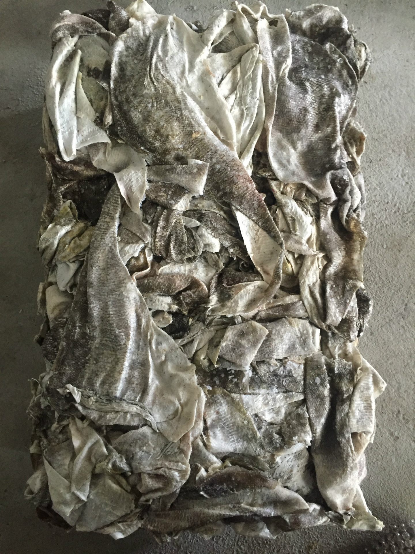 厂家直销冻鲜真鳕鱼皮适合提炼胶原蛋白 胶原肽医药胶囊