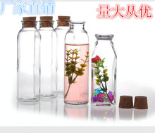 批发木塞瓶子 饮料奶茶瓶玻璃瓶子创意玻璃许愿瓶彩虹瓶 漂流瓶