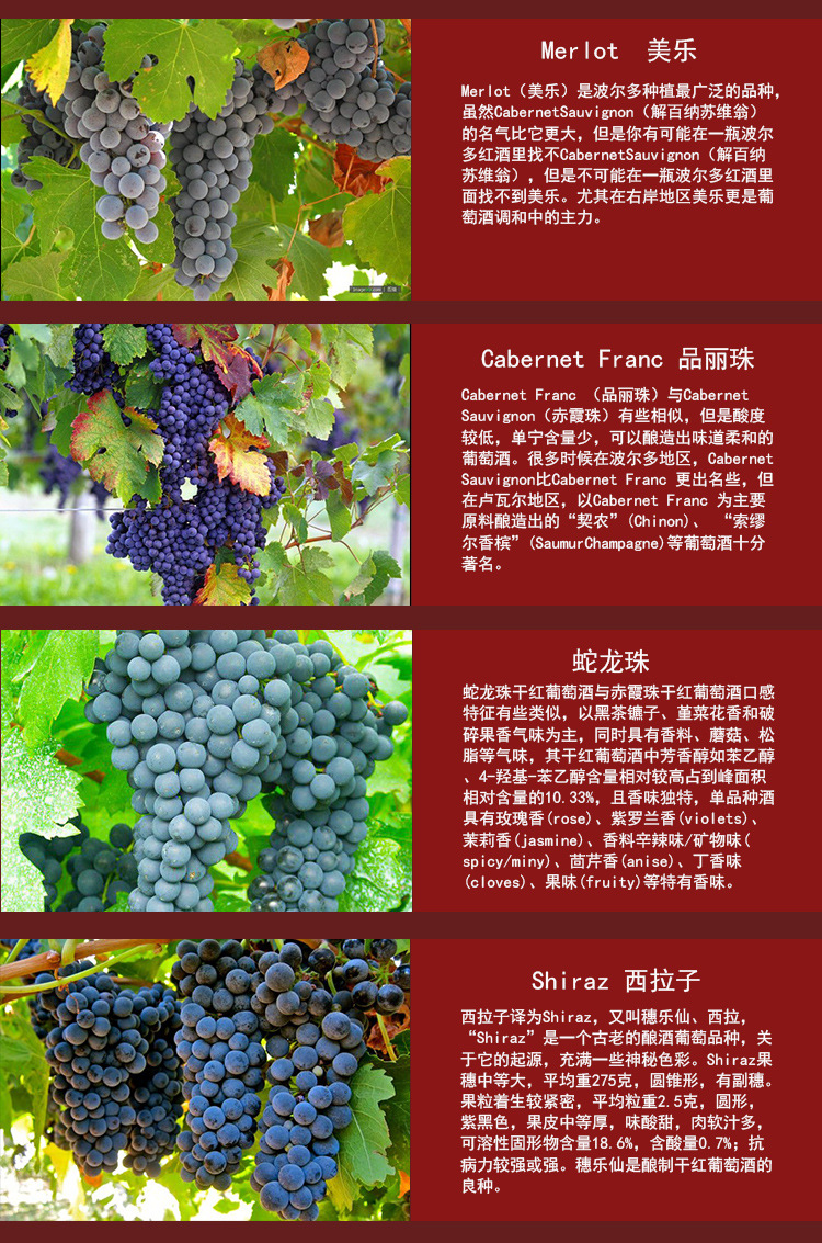 圣图酒堡珍藏级佳丽酿干红葡萄酒红酒整箱批发临售