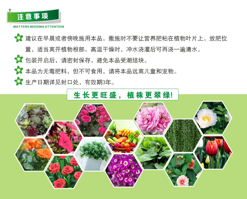 国光丁酰肼b9比久促花芽分化延长花期控徒长防落花50克调节剂