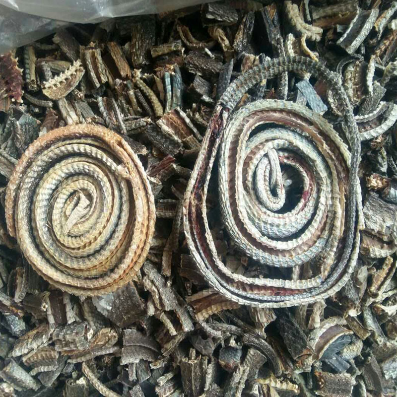 乌梢蛇 中药材批发 乌蛇 乌梢蛇 乌蛸蛇干 泡酒料