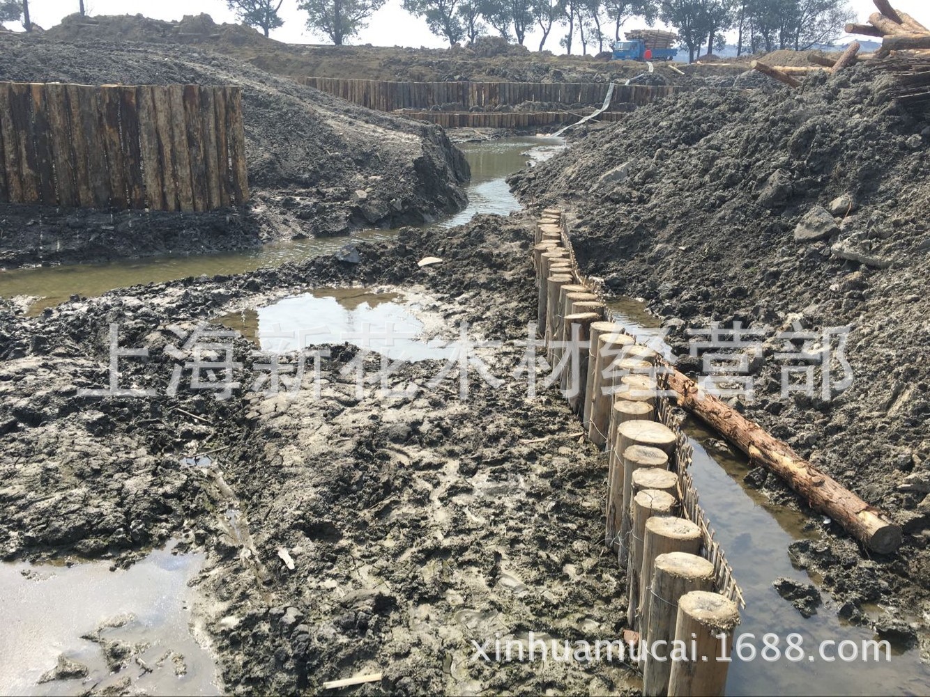 河道驳岸木桩 河道木桩批发 河道围堰松木桩 河道打桩木 松木桩