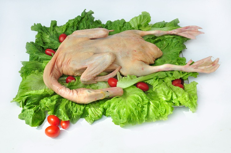 长期供应各种优质冷鲜食品 原生态散养土仔鸭 现杀美味新鲜鸭.