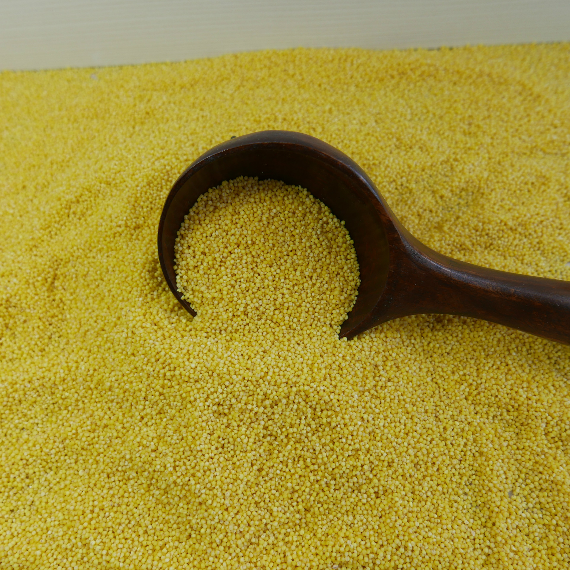 厂家批发直供 83110红谷子 优质黄小米斤