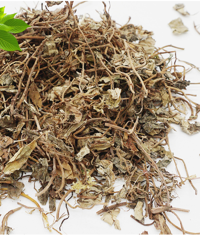 小叶金钱草亳州中药材厂家产地货源中药批发草药批发小叶金钱草