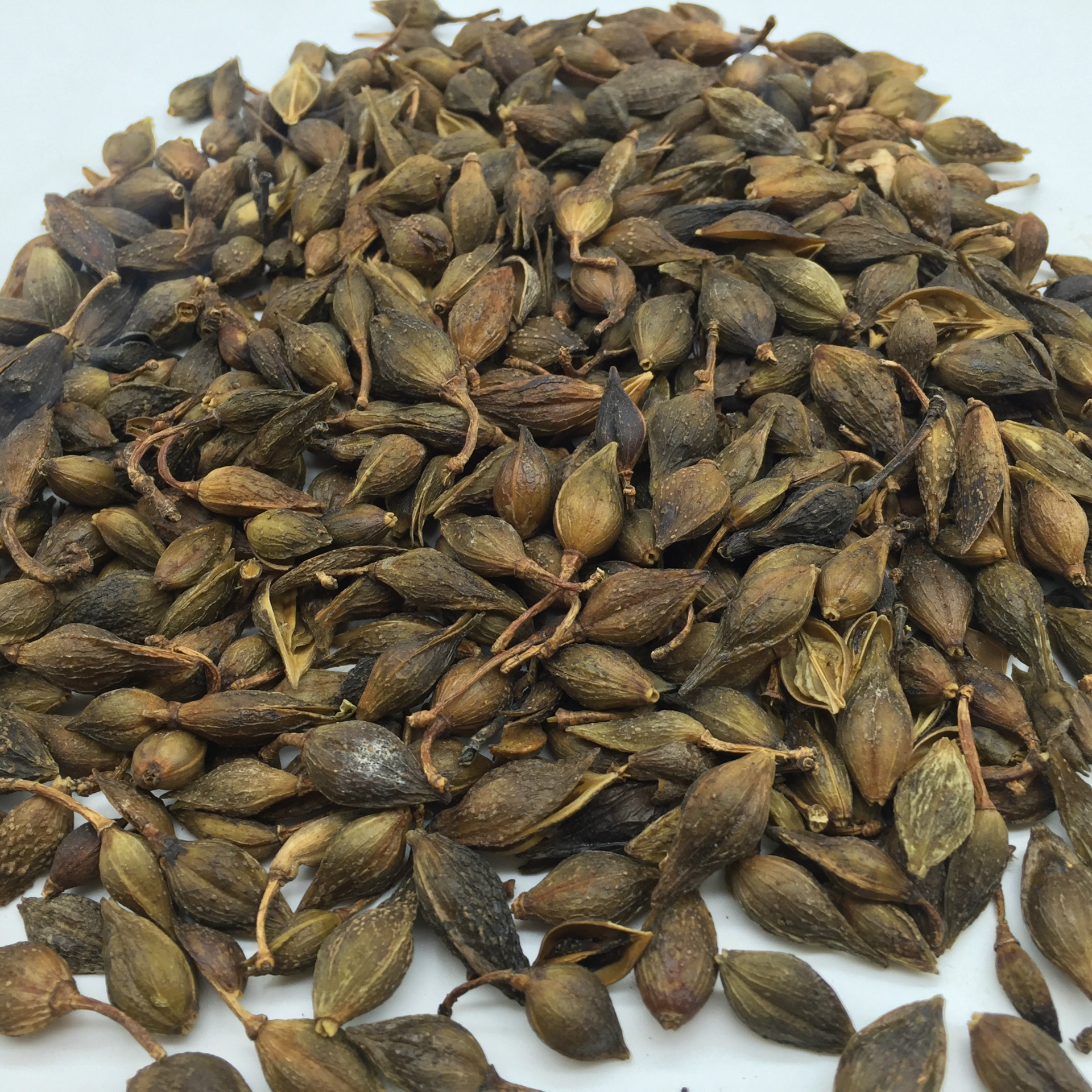 佰万康批发中药材新货连翘 黄翘干净无杂 量大从优 质量保证 - 苗木批