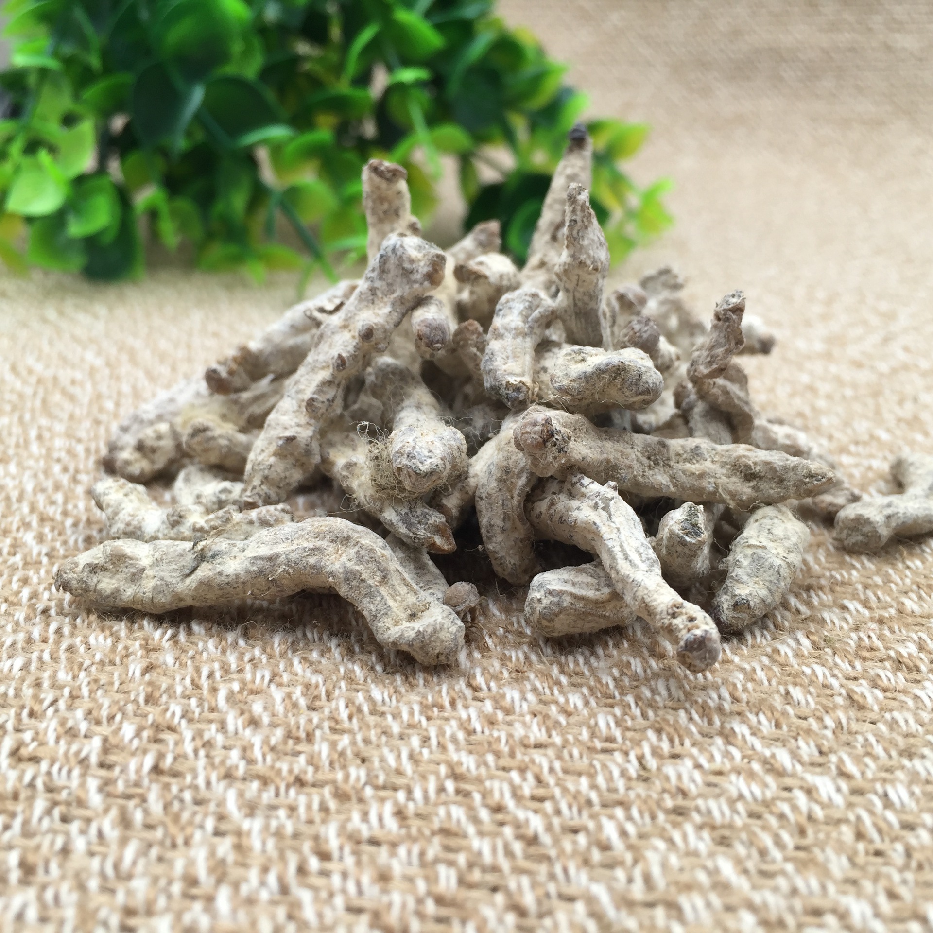 批发包邮正品中药材白僵蚕品质保障炒僵蚕支持检验药材磨粉