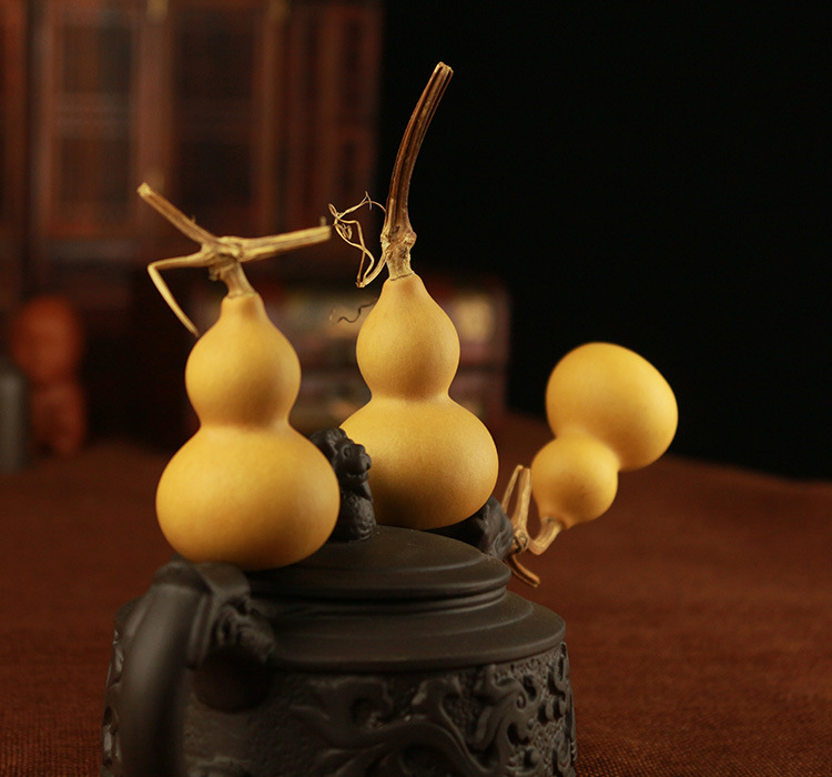 美国天然小葫芦带龙头摆件把玩件文玩工艺葫芦手捻葫芦批发葫芦