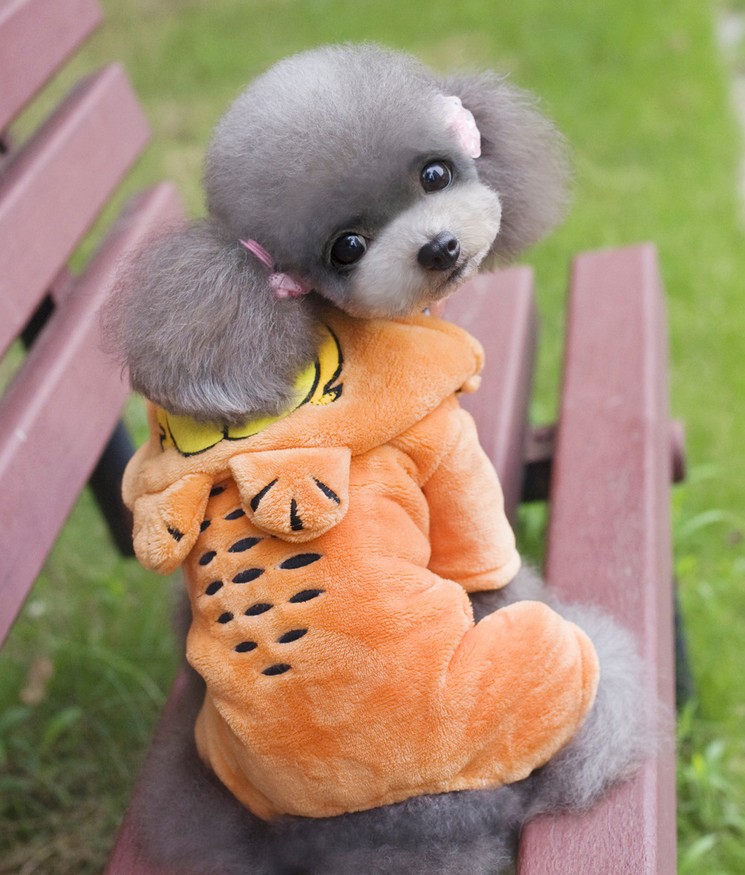 秋冬宠物服装泰迪小狗衣服狗狗衣服 加菲猫四腿绒衣一件代发