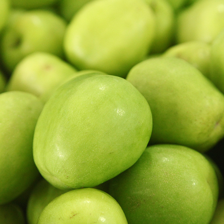 台湾进口水果新鲜牛奶蜜枣 大青枣盒装 果大牛奶灌溉 果礼家