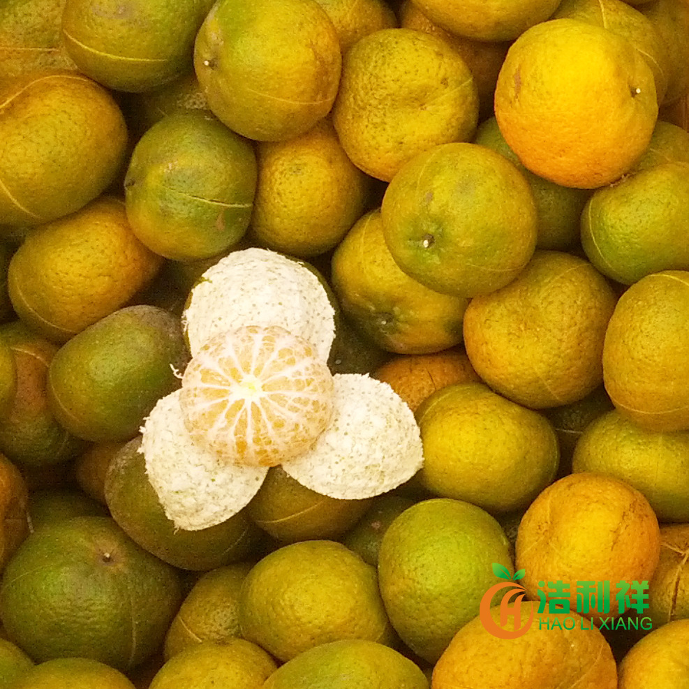 一级新会茶枝柑新会陈皮原果实大红柑陈皮柑