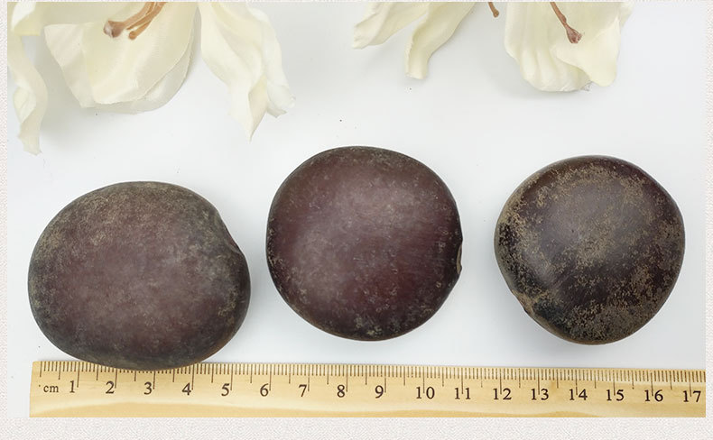 木腰子 泡酒料阴阳子 过江龙子 龙须藤肾树宝罗汉豆菩提子原料