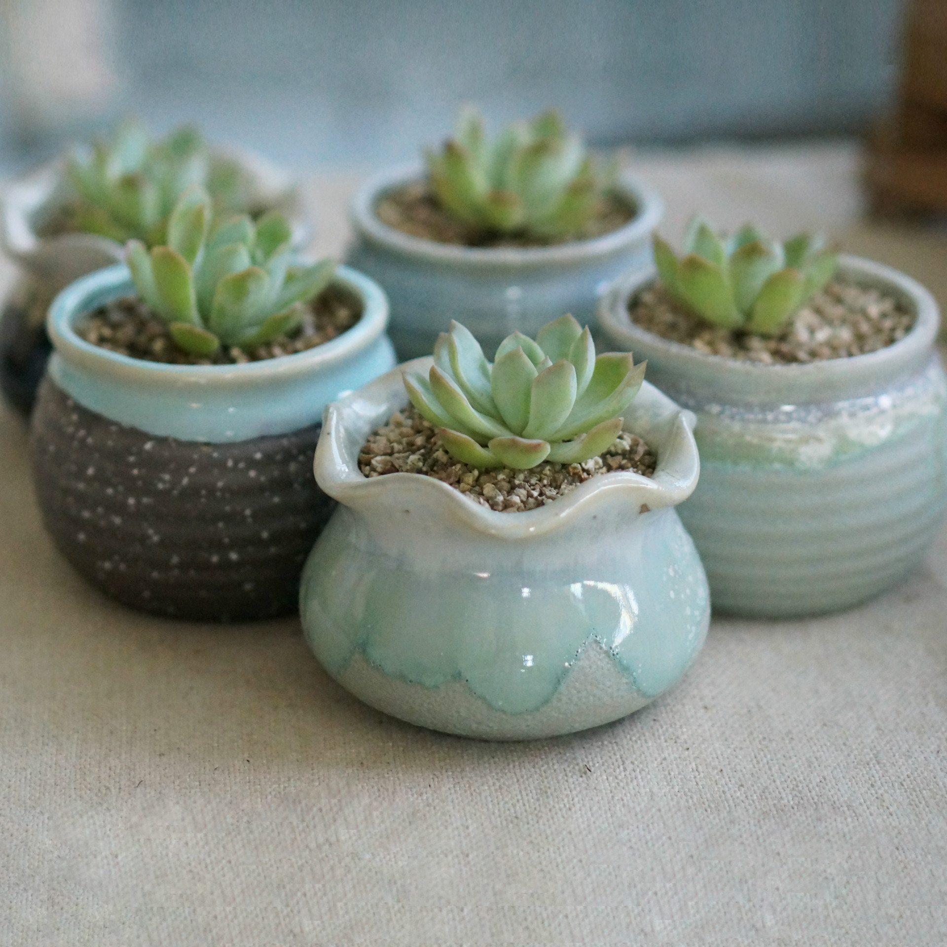 多肉植物花盆陶瓷工艺品泡泡釉花盆办公桌z***a摆件花盆特.